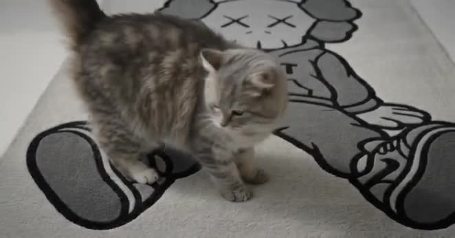 Kaws Style Skull Character Rug, Black Grey Tufted Wool Area Rug, Streetwear Cartoon Living Room Carpet | 5x7 video poster